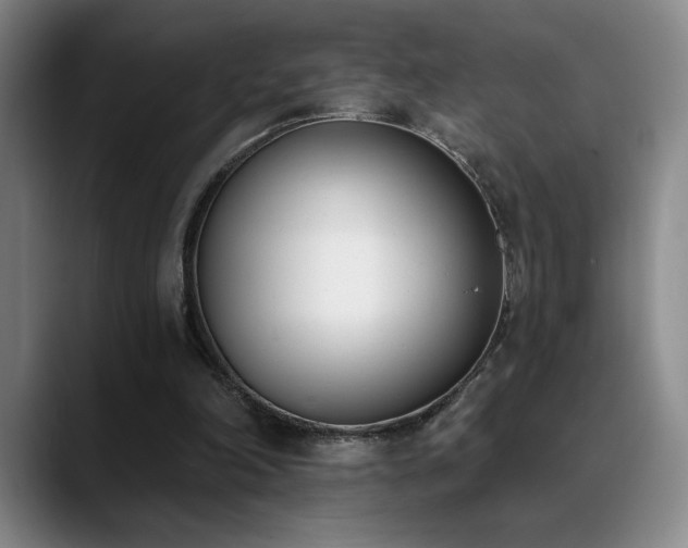 X0000089390198200706151228