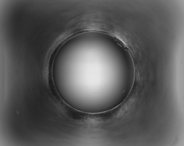 X0000089390199200706151228