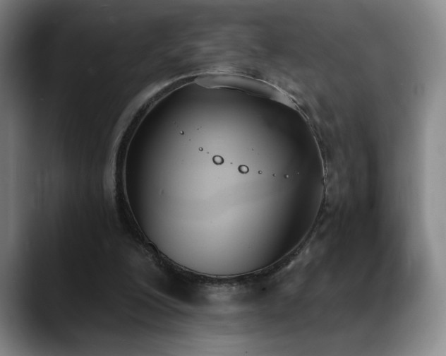 X0000089390200200706151228