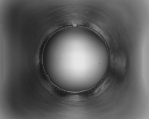X0000089390203200706151228
