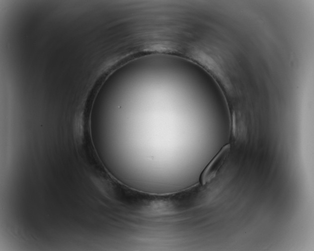 X0000089390204200706151228