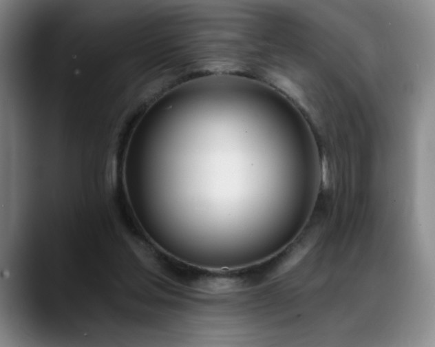 X0000089390205200706151228