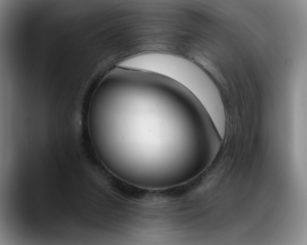 X0000089390207200706151228