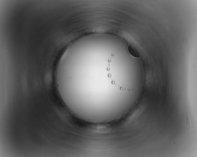 X0000089390208200706151228