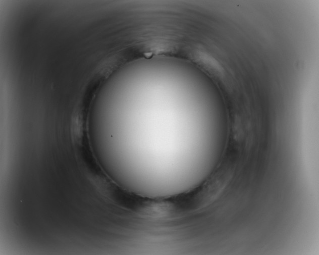 X0000089390210200706151228