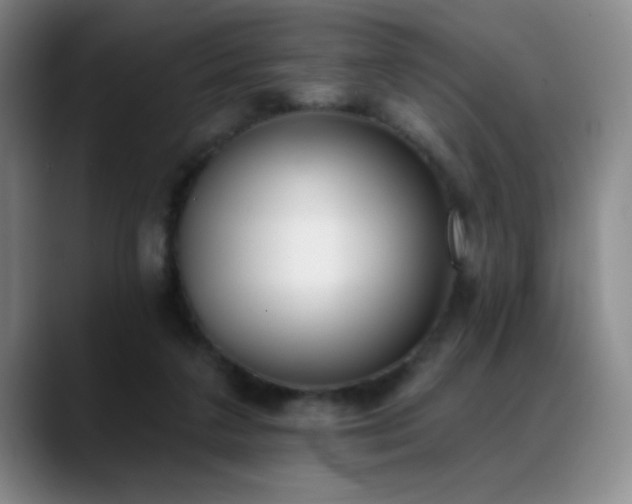X0000089390211200706151228