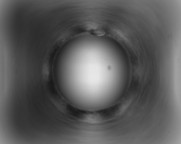 X0000089390215200706151228