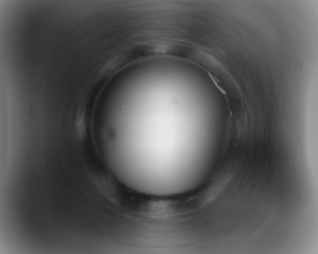 X0000089390216200706151228