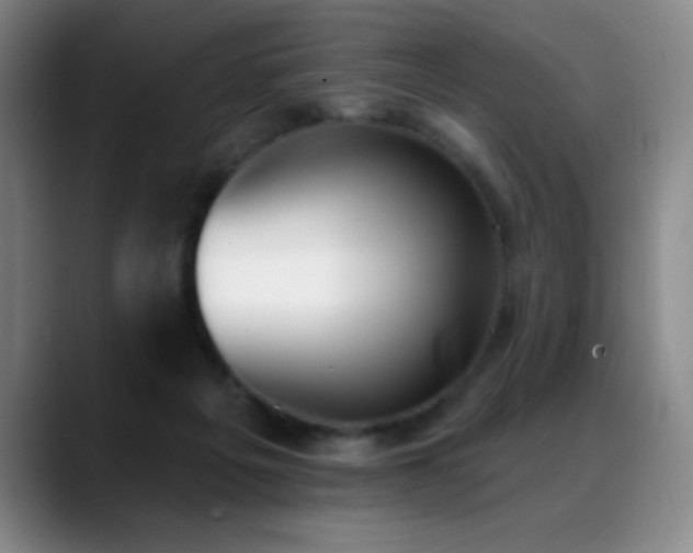 X0000089390217200706151228