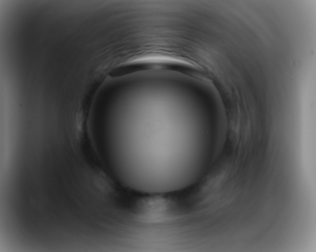X0000089390219200706151228