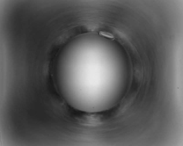 X0000089390221200706151228