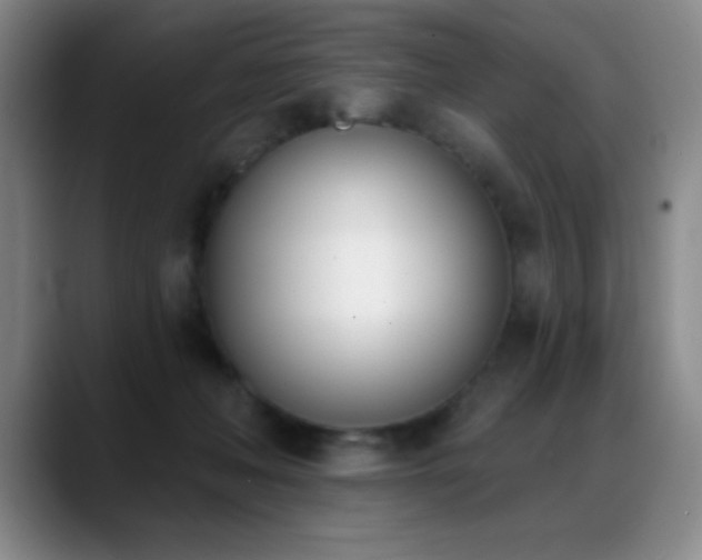 X0000089390222200706151228