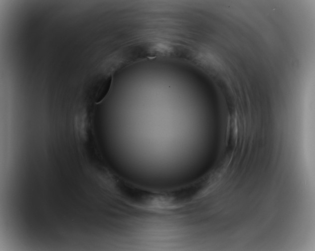 X0000089390223200706151228