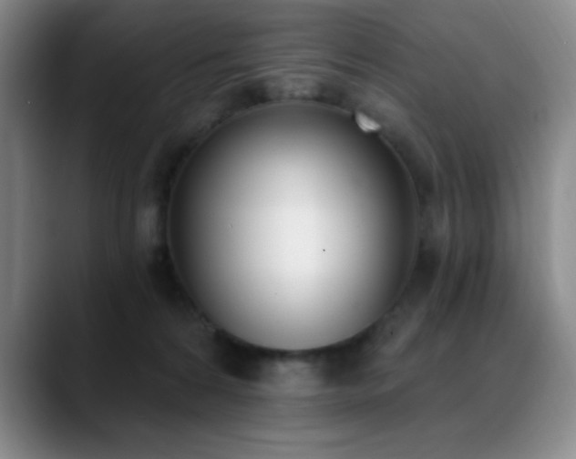 X0000089390224200706151228