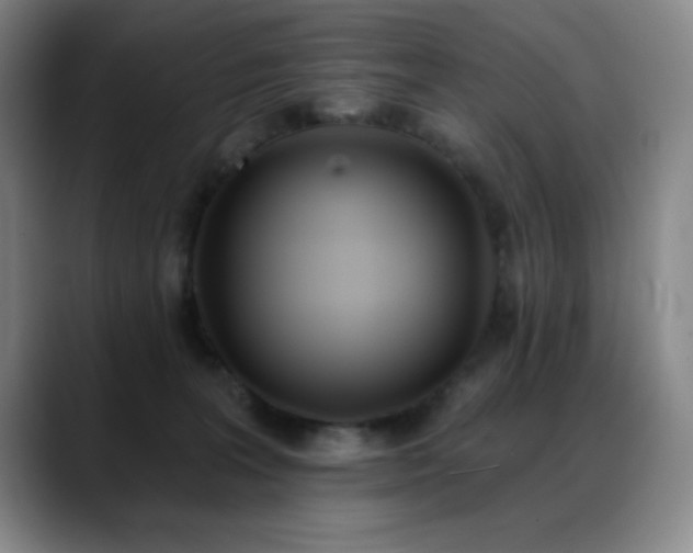 X0000089390227200706151228