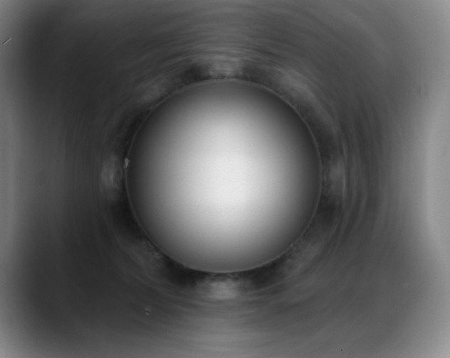 X0000089390228200706151228