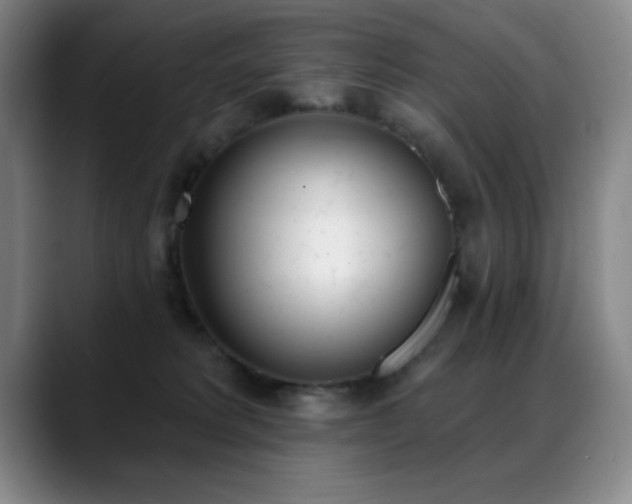 X0000089390229200706151228