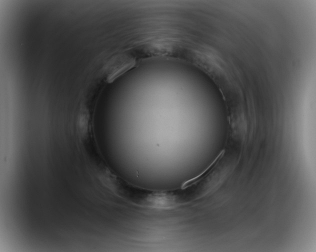 X0000089390231200706151228