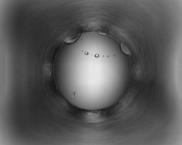 X0000089390232200706151228