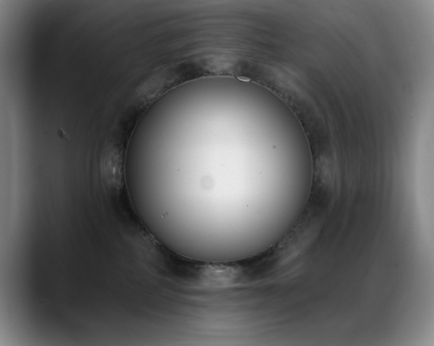 X0000089390234200706151228