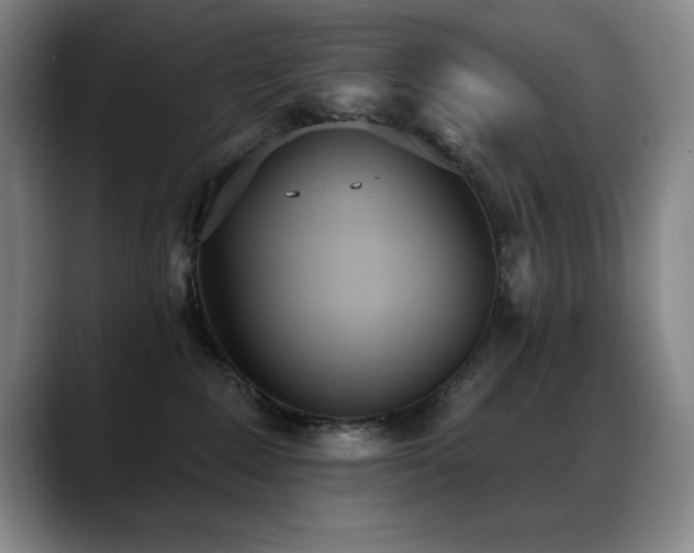 X0000089390235200706151228