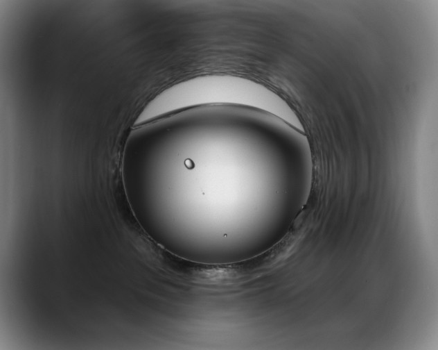 X0000089390237200706151228