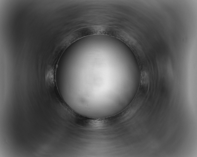 X0000089390238200706151228