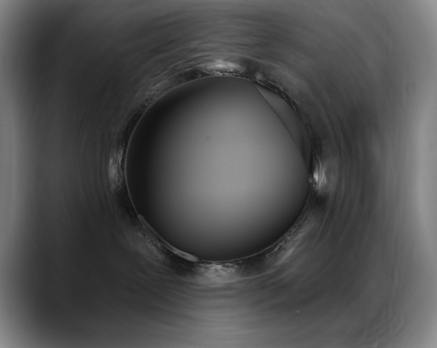 X0000089390239200706151228