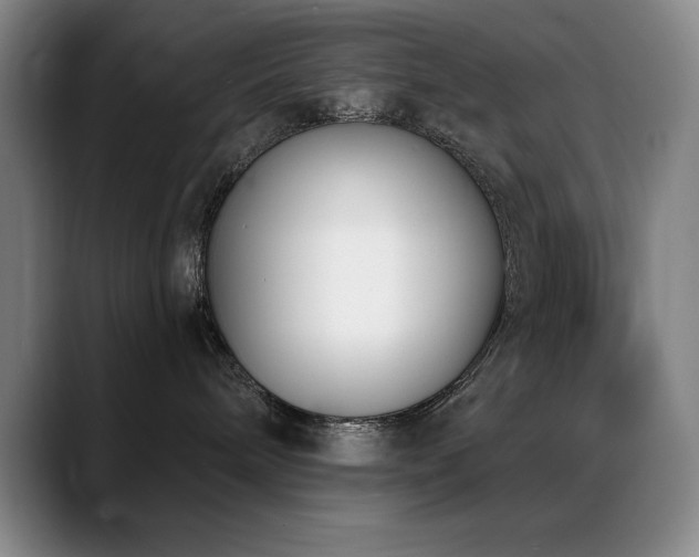 X0000089390240200706151228