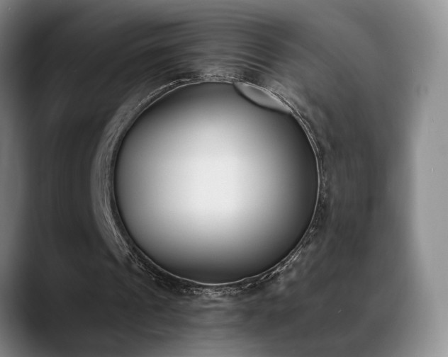 X0000089390241200706151227