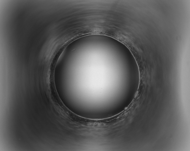 X0000089390242200706151227