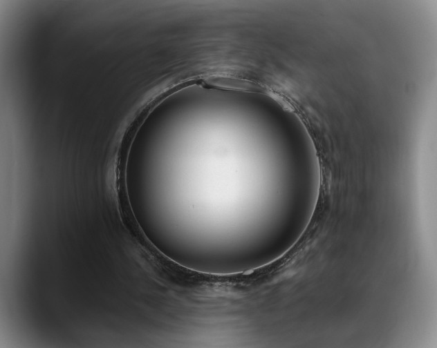 X0000089390244200706151227