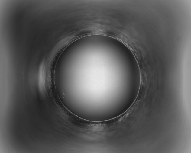 X0000089390245200706151227