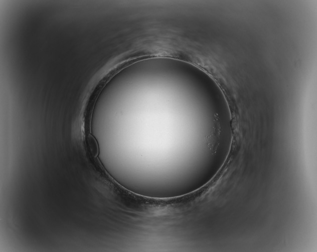 X0000089390246200706151227