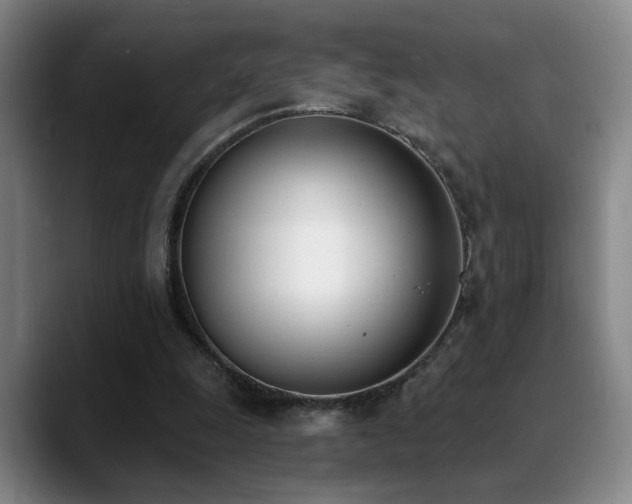 X0000089390247200706151227