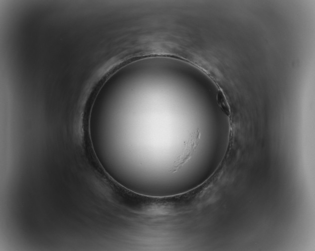 X0000089390248200706151227