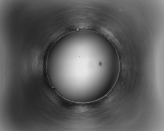 X0000089390250200706151227