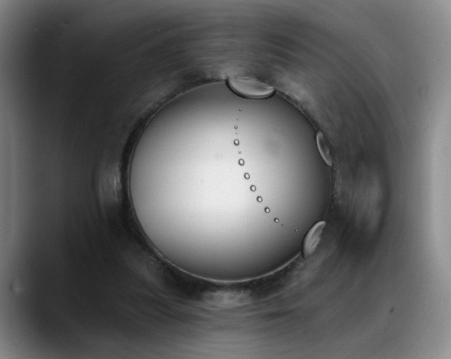 X0000089390251200706151227