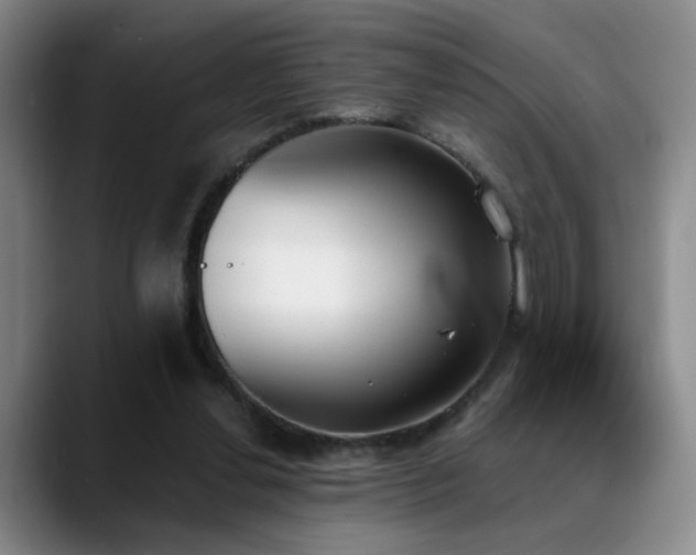 X0000089390252200706151227