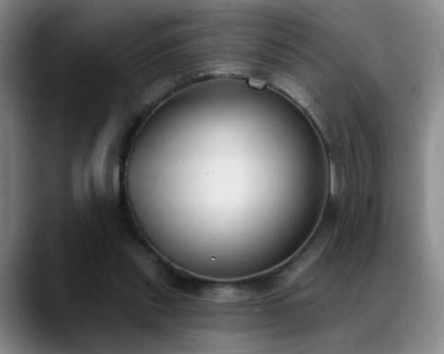X0000089390253200706151227