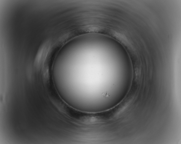 X0000089390254200706151227