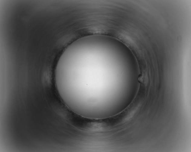 X0000089390255200706151227