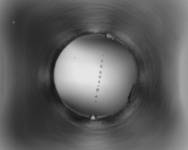 X0000089390256200706151227