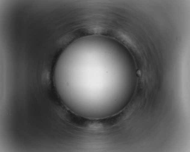 X0000089390258200706151227