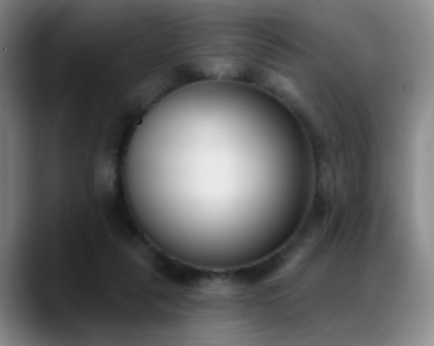 X0000089390259200706151227