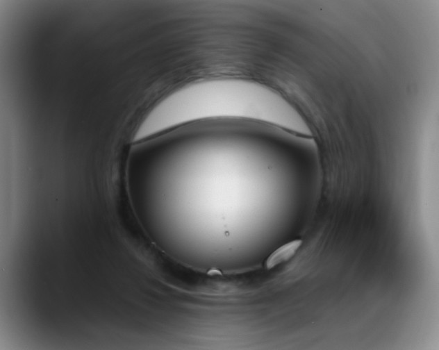 X0000089390260200706151227