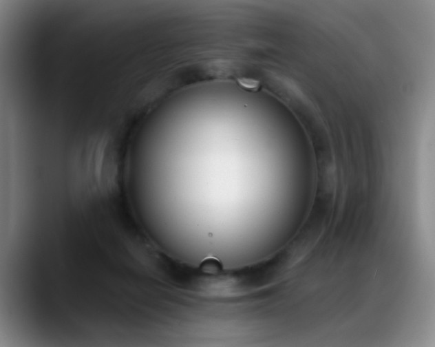 X0000089390266200706151227