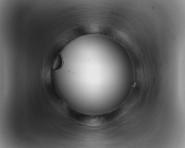 X0000089390267200706151227