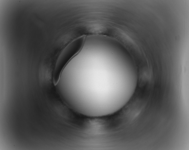 X0000089390268200706151227