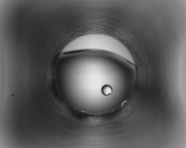 X0000089390272200706151227